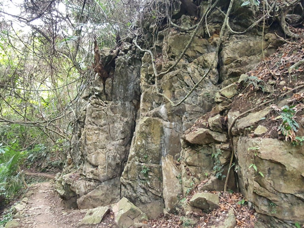 小東河步道封面圖