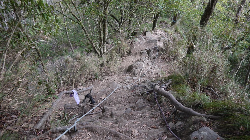 虎山登山健行趣(中級山)_1516960