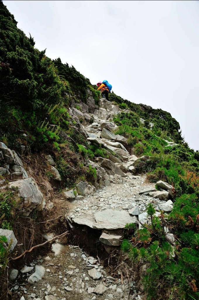 天使的眼淚_7838