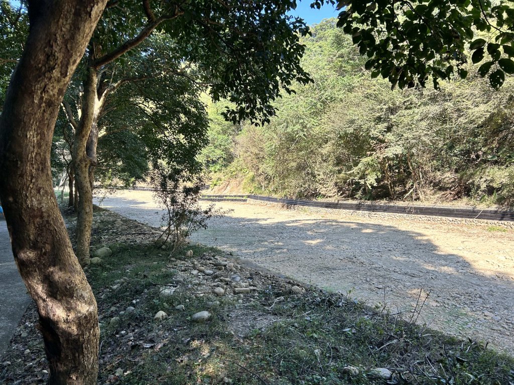 坑內坑森林步道封面圖