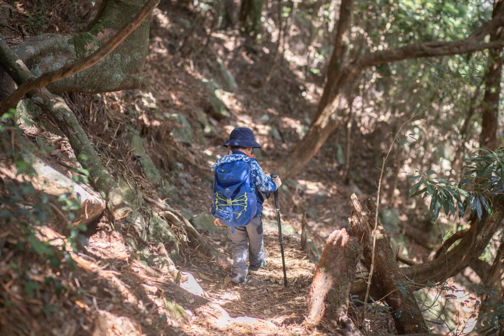 百變的夢幻山域 - 稍來南峰 & 稍來山_1483825