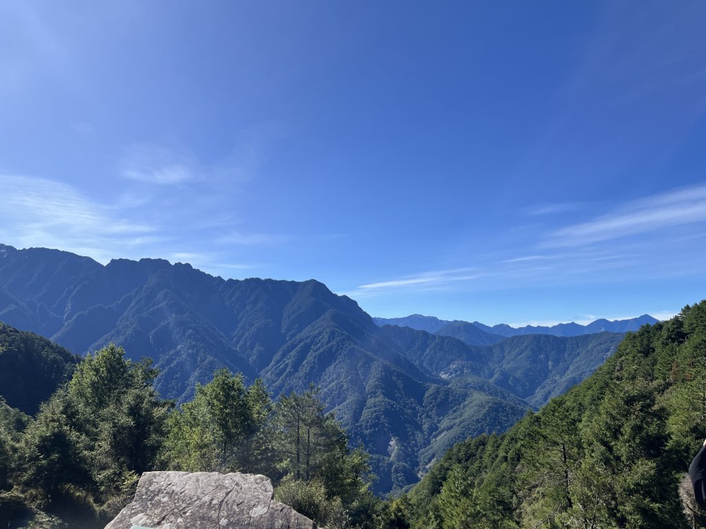 2025/08/17塔塔加、麟趾山、大鐵杉_2891614