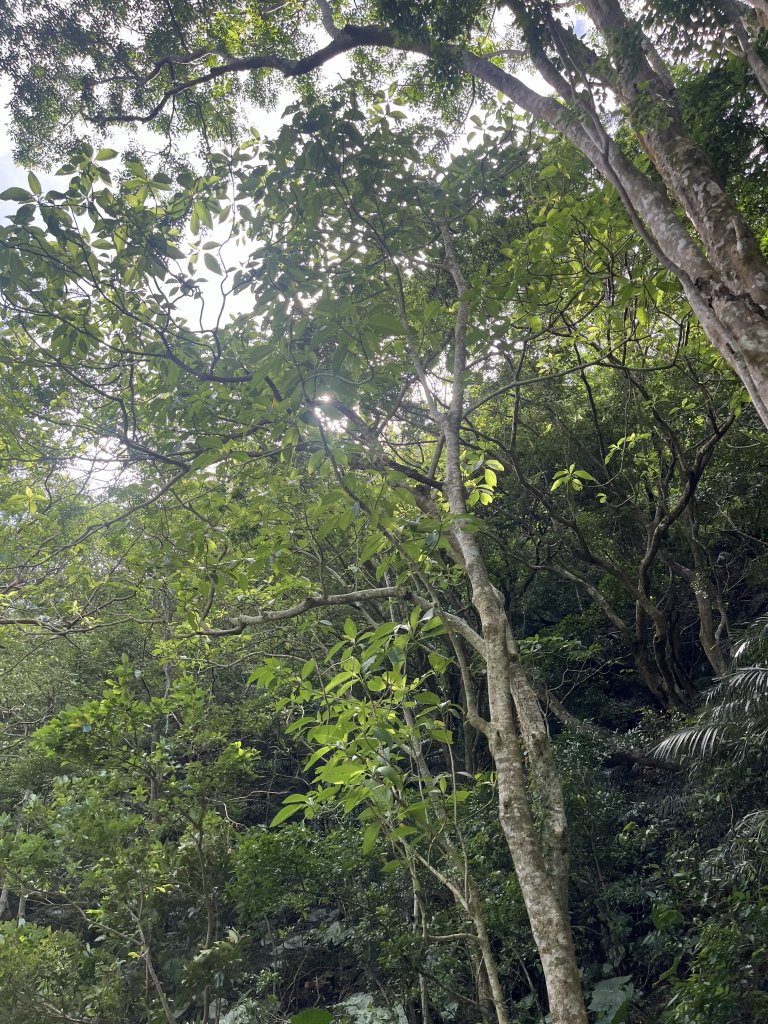 [屏步青雲 尋寶任務-03/10] 2024_0917 雙流國家森林遊樂區（瀑布步道）_2597674