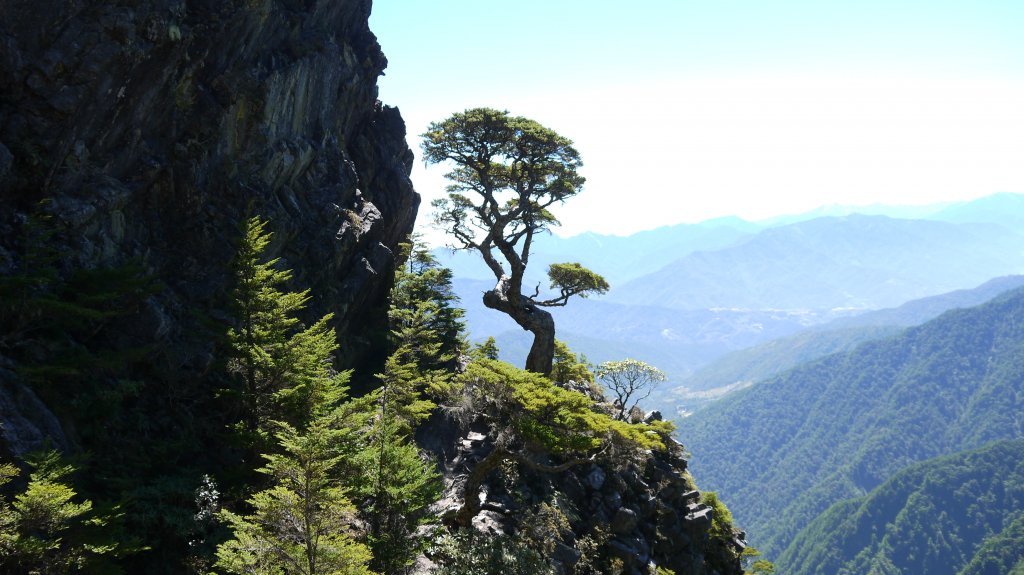池有山單攻登山健行趣(百岳52)_1515391