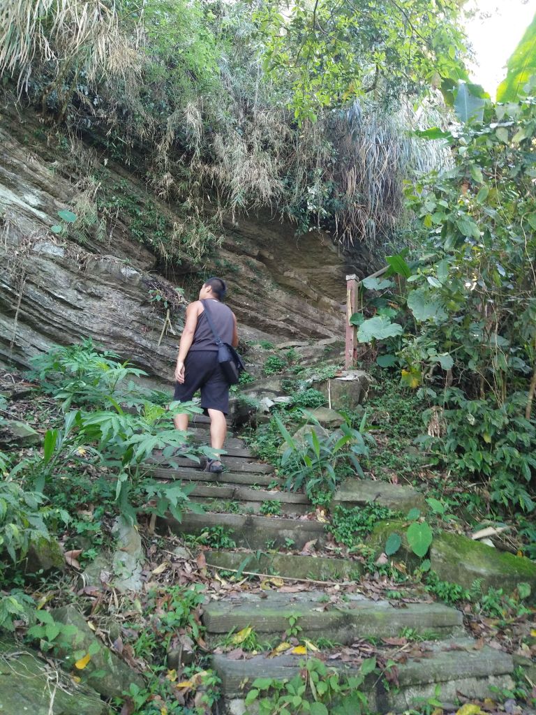 20170509 山羊古道_124801