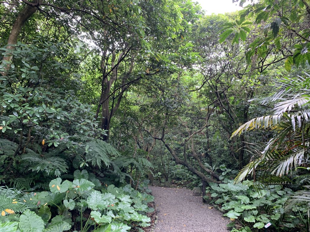 福州山富陽生態公園封面圖