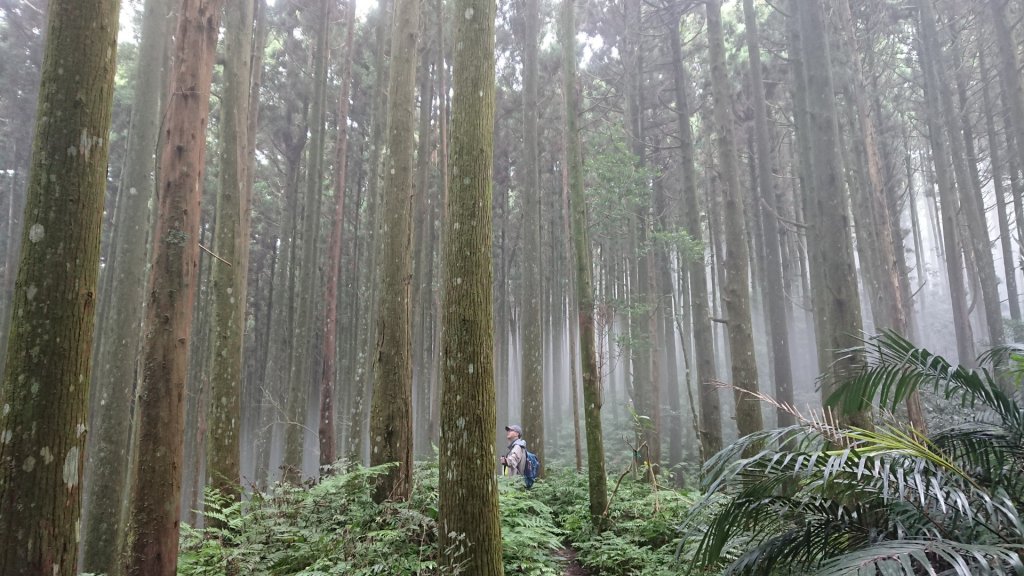 滿滿仙氣的向天湖山_1107057