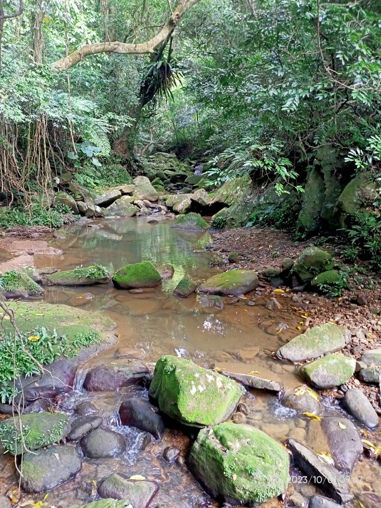 大溝溪生態治水園區、圓覺寺步道、龍船岩【走路趣尋寶、健康大穀東】_2301397