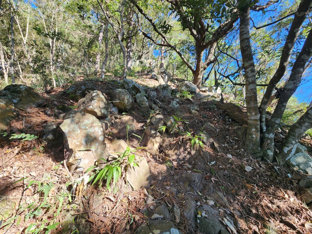 20241013東南稜上東卯山_2670979