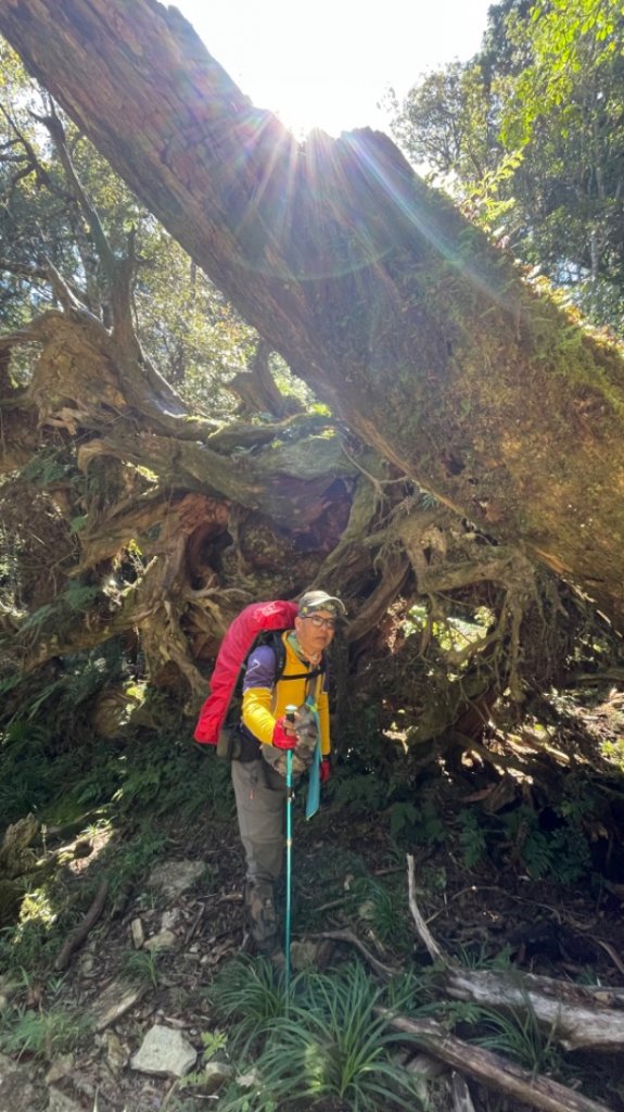 塔魔巴2天1夜來回/復興尖-四稜溫泉_2357200