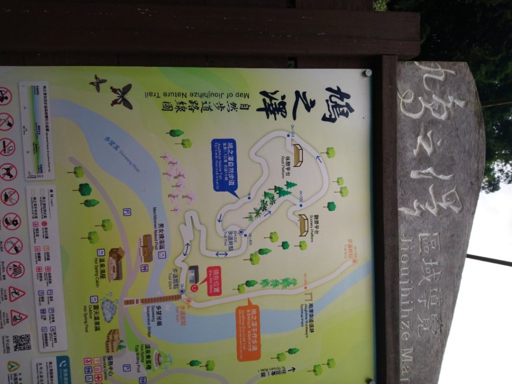 一年一度的饗宴～浪漫金黃之秋山毛櫸_1146057