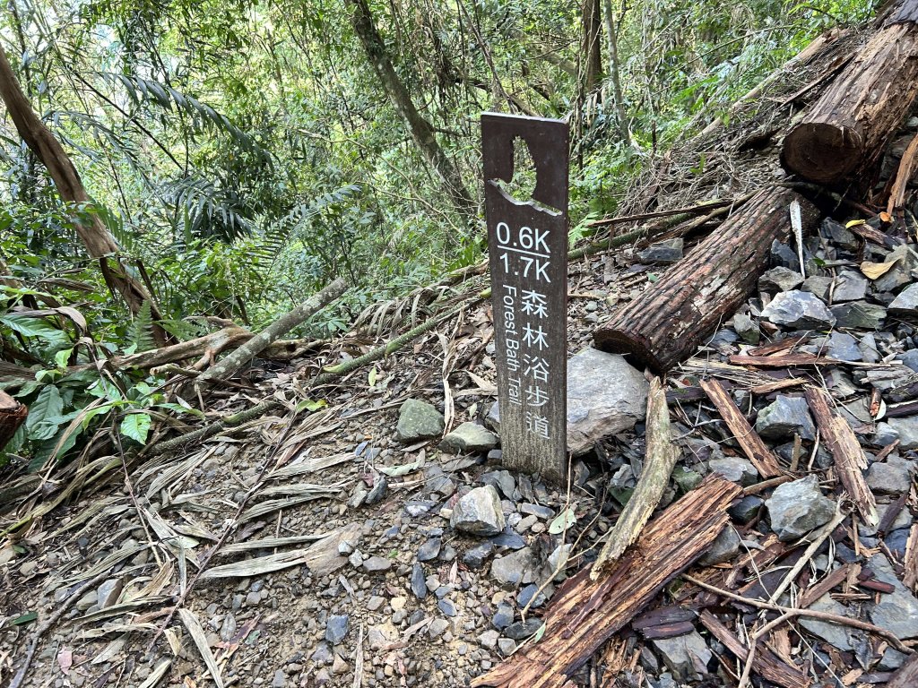 內洞國家森林遊樂區_2806878