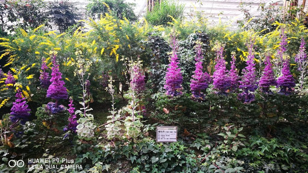 20180405杉林溪之旅_304259