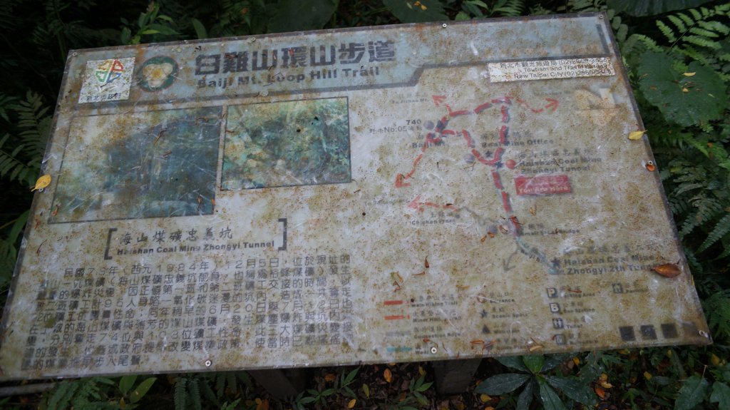 白雞山連走之花_573929