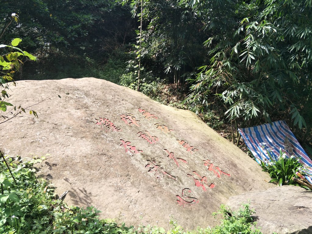 20190729小天梯情人吊橋&太平雲梯_794021