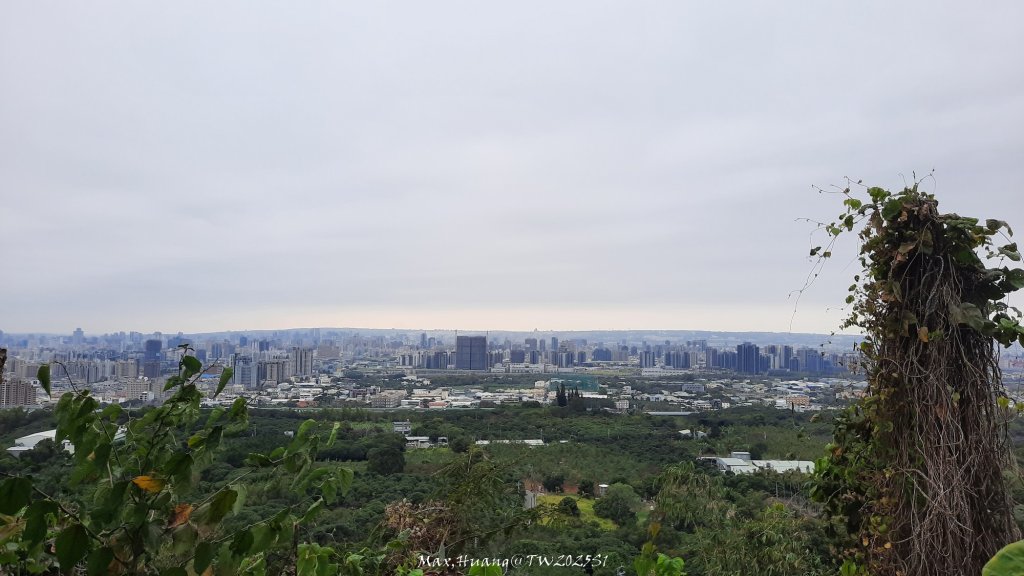 《台中》樹中有樹｜大坑步道6上7下O繞20250208_2708610