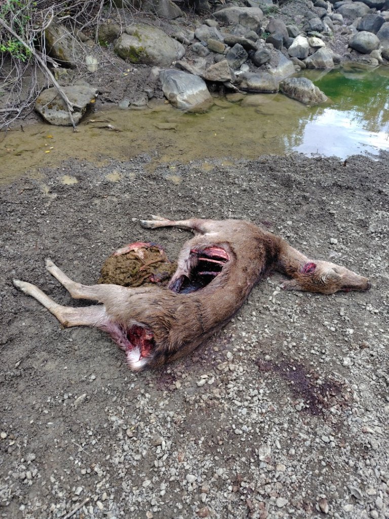 恆春大縱走連走白沙彌山出呆風草原封面圖