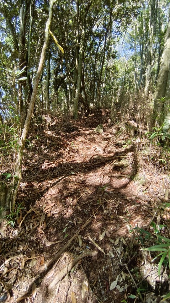 長壽山（肥崠山）鎮山之羊與飛鷹_1566581