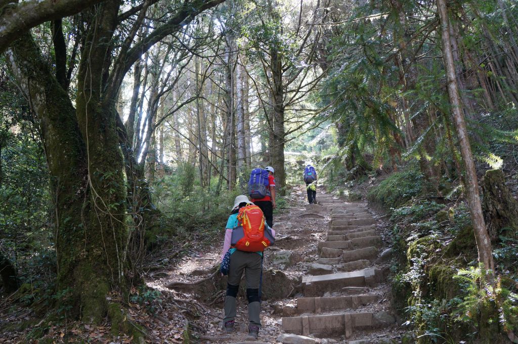 雪山主、東峰登山趣_388923