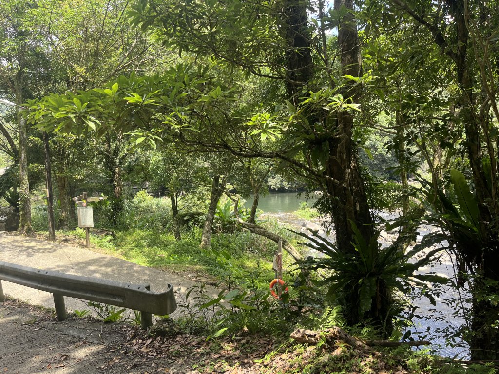 [淡蘭古道] 2024_0622 中路第五段-灣潭古道_2533945