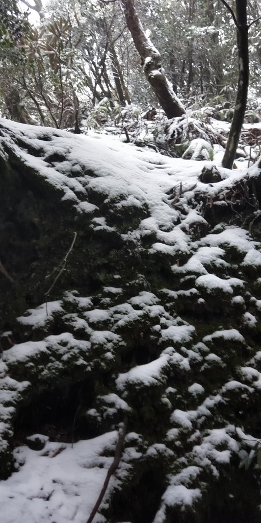 父子倆包山，內洞林道上大保克山群峰追雪_1232964