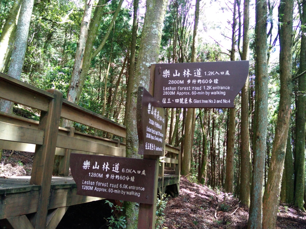檜山巨木群步道_53584