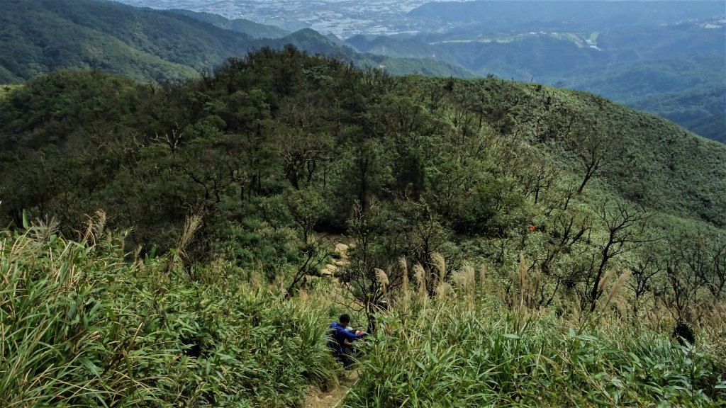 享受天然綠的唯美在礁溪抹茶山_1428482