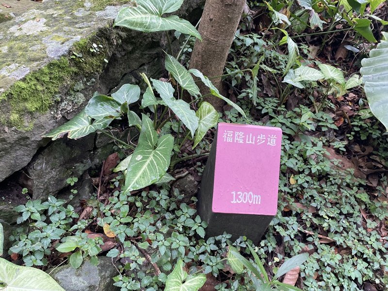 觀音山秘境_2634038