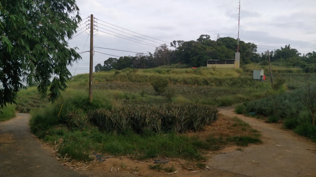 嘉義 民雄 松子腳山_1488791