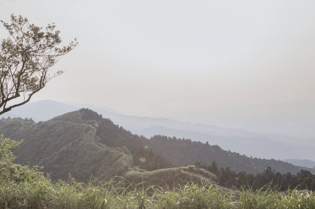 20200411-五分山步道_918730