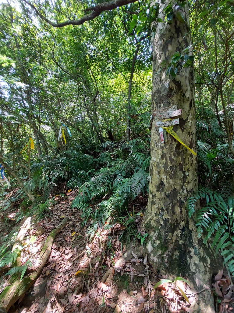 1100515淡蘭古道中路：柑腳-灣潭_1404909