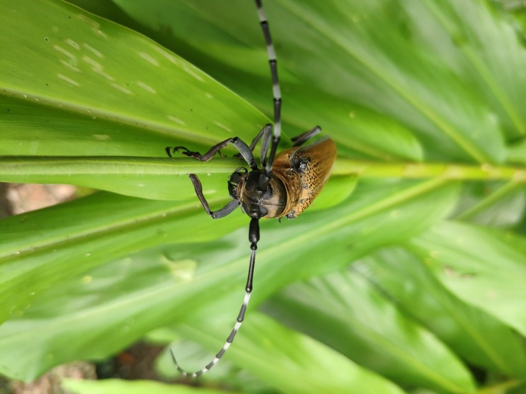 十三分山_1742471