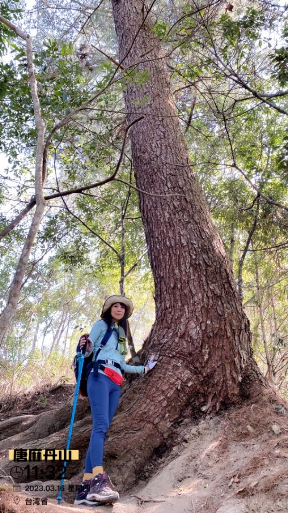 唐麻丹山一日爬蝴蝶谷瀑布_2073127