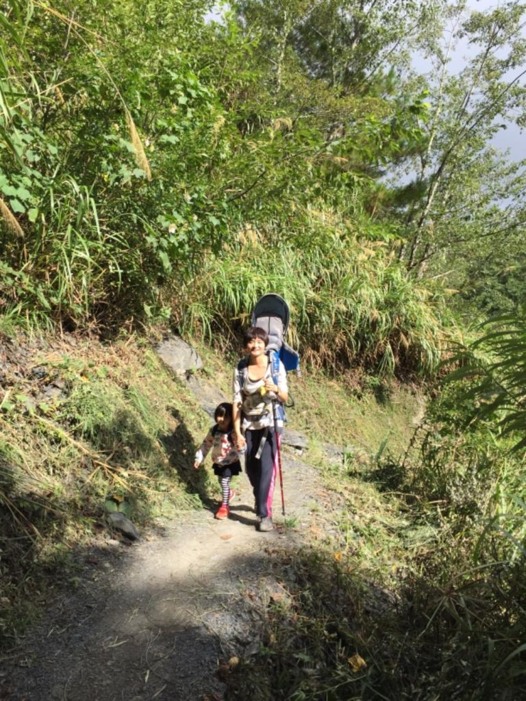 「司馬庫斯」一家四口森林樂活遊_380494