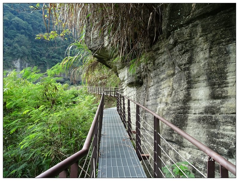 草嶺清溪步道封面圖