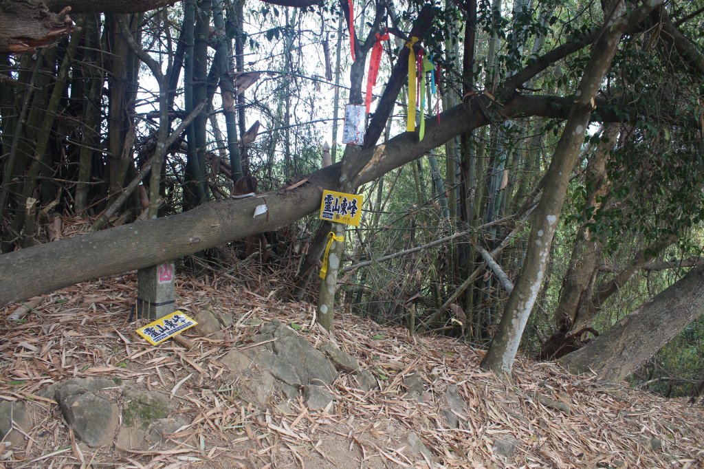 20230124高雄靈山基點峰-東峰_2017627