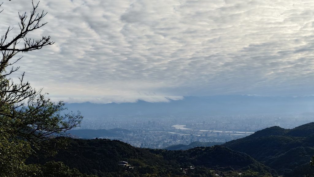 20260125 陽明山前後山健行(無極天元宮~山仔頂步道.向天池.向天山.面天山.二子坪)_2998071
