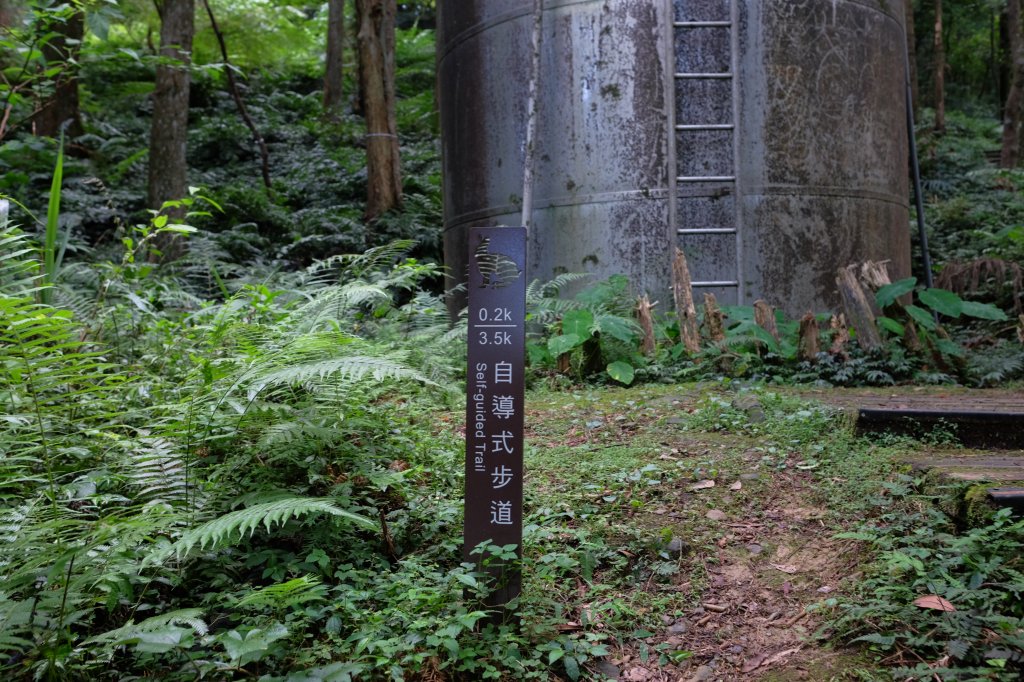 桃園復興區  東卡O縱_2823799