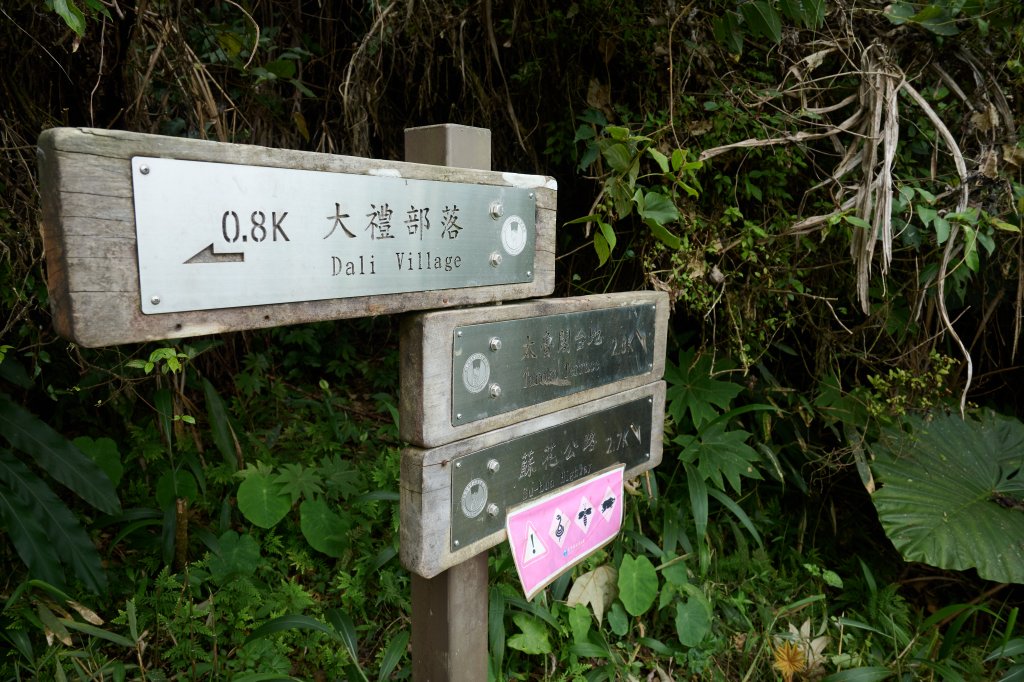 兩日立霧山觀景台(日出行程)_2114810