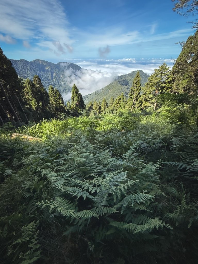 船型山林道賞雲海、烏石坑山、2432峰 山景海景一次到位_2929281