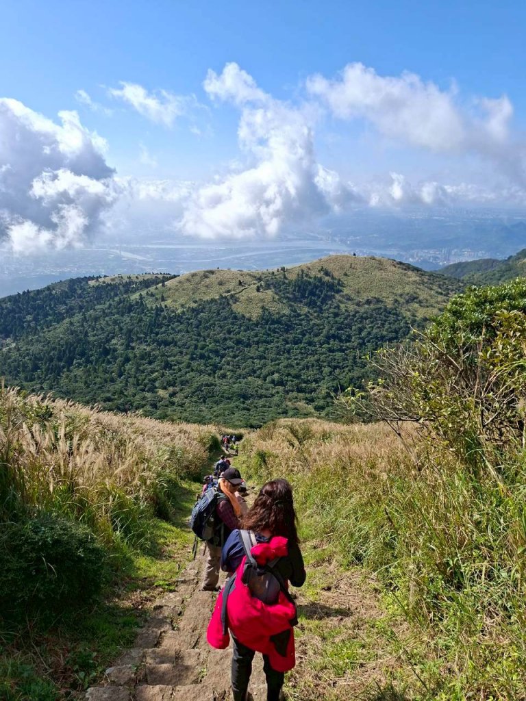 【臺北大縱走 2】【第二回合全程完成證書】鞍部→大屯山步道→大屯山主峰→大屯坪步道→二子坪步道_2960335