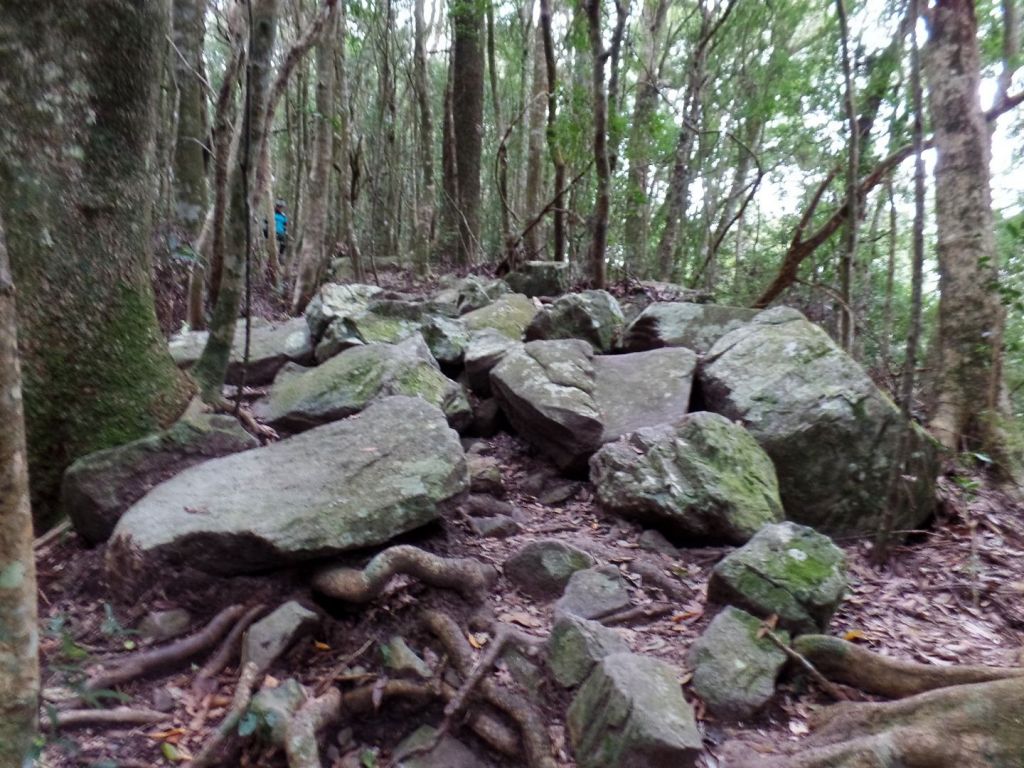 谷關七雄~屋我尾山_293630