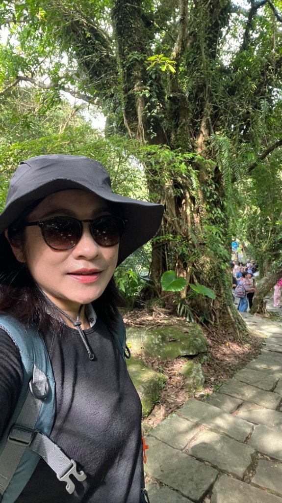 2025草嶺古道_2970588