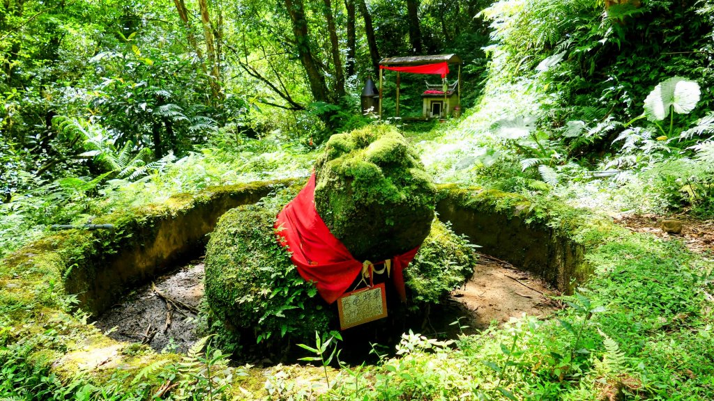 石龜將軍封面圖