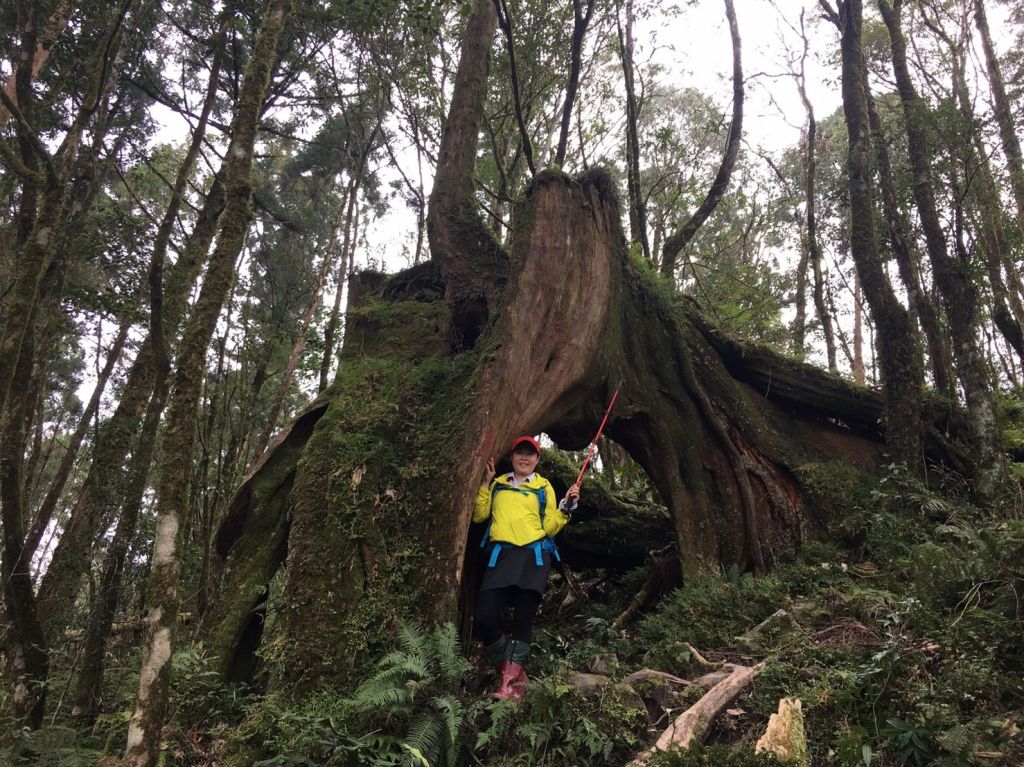 2018.03.14 松蘿湖我來了~_291021