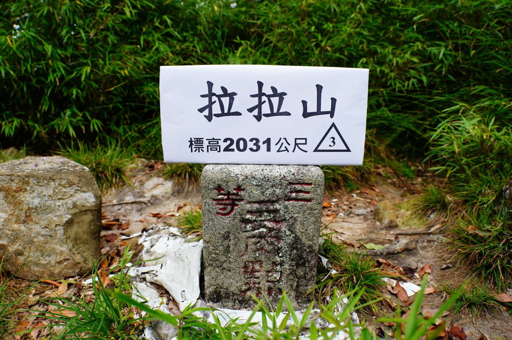 桃園 復興 達觀山、拉拉山封面圖