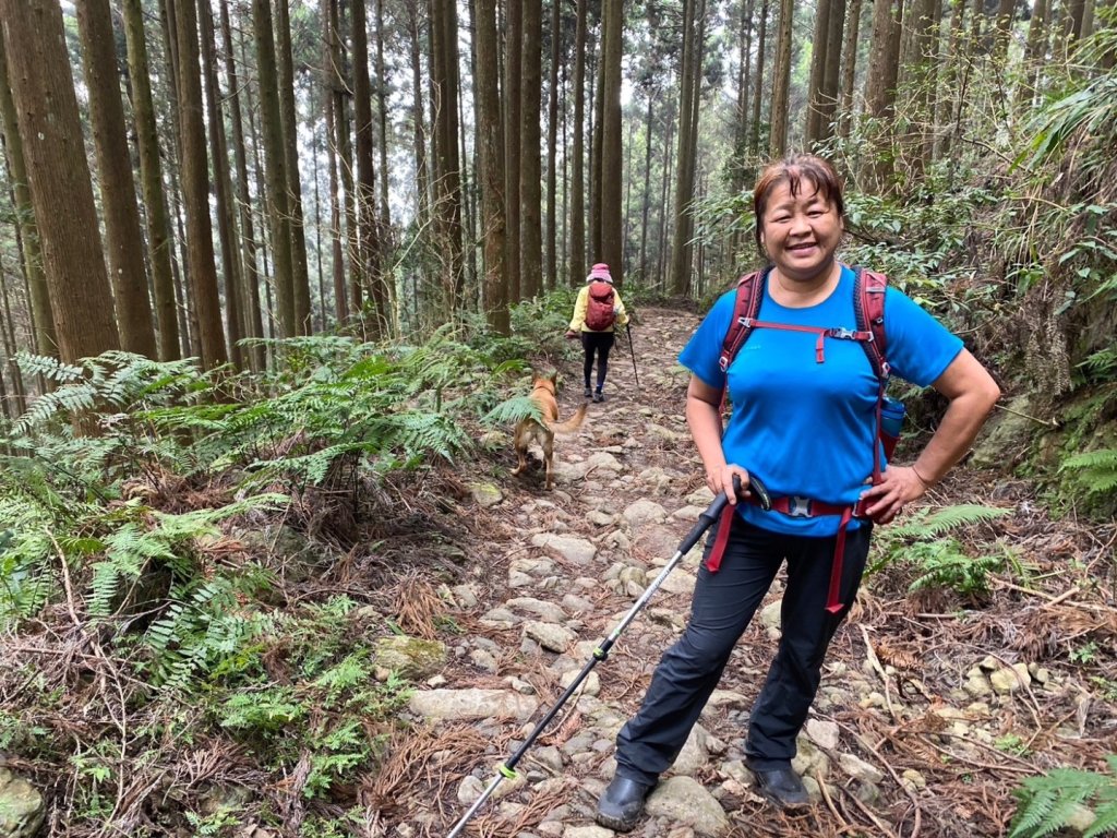 鵝公髻山（小百岳）鵝公髻山東北峰_2449838