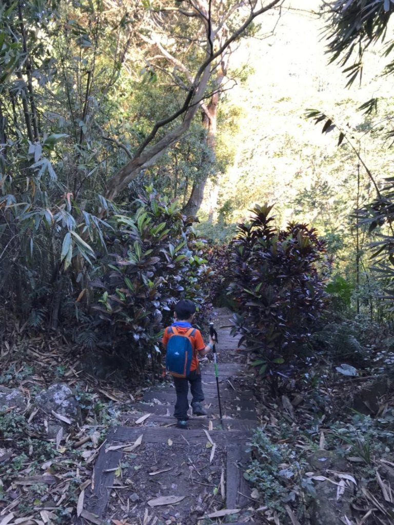 樟腦寮車站上獨立山奉天岩泡茶煮泡麵大巃頂看群峰美景_469841