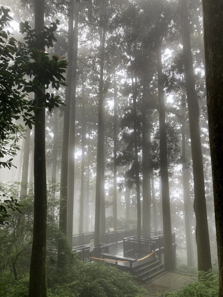 2023-09-30 頂石棹 雲之道_2300722