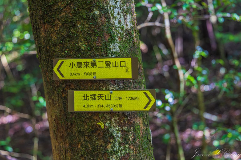 [桃園]北插天山磨練之旅_2532886